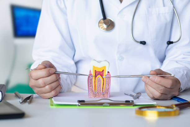 Best Emergency Dental Care for Abscessed Tooth in Jennings, LA